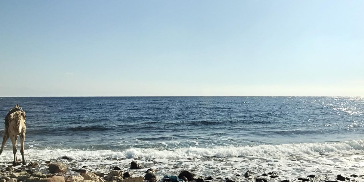 Paradies auf Erden: Warum sollten Sie Dahab besuchen