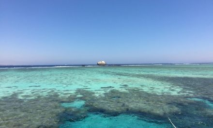 Ägypten Tauchen Tourismusrisiken Verluste ohne Sanafir, Tiran Inseln